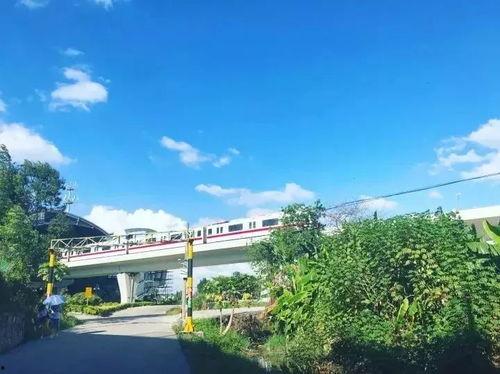 广州edy最新爆料,揭秘城市热点事件背后的真相