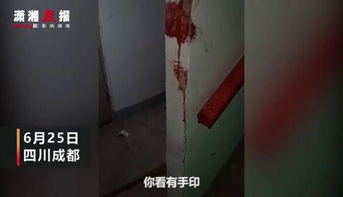 成都爆料家长打人案件最新,校园暴力引发社会关注